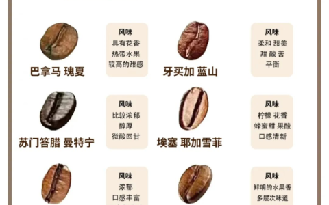 世界上很好喝的8种咖啡豆
