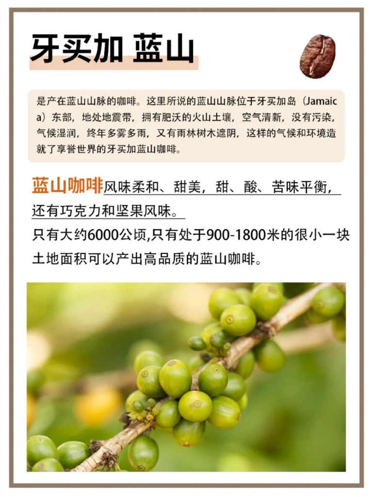 世界上很好喝的8种咖啡豆