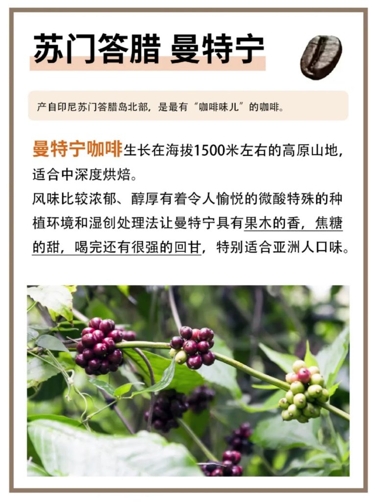 世界上很好喝的8种咖啡豆