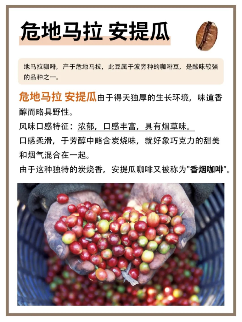 世界上很好喝的8种咖啡豆
