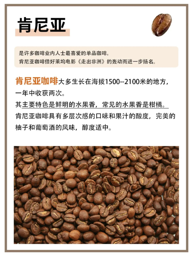 世界上很好喝的8种咖啡豆