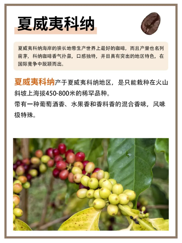 世界上很好喝的8种咖啡豆