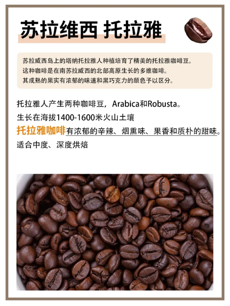 世界上很好喝的8种咖啡豆